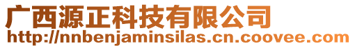 廣西源正科技有限公司