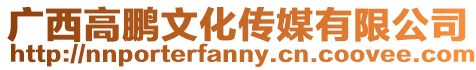 廣西高鵬文化傳媒有限公司