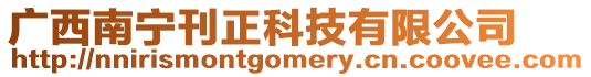 廣西南寧刊正科技有限公司