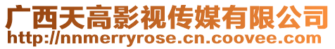 廣西天高影視傳媒有限公司
