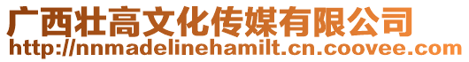 廣西壯高文化傳媒有限公司
