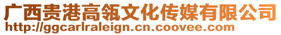 廣西貴港高瓴文化傳媒有限公司