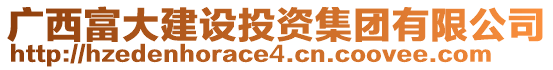 廣西富大建設投資集團有限公司
