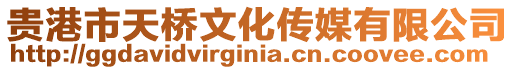 貴港市天橋文化傳媒有限公司