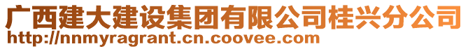 廣西建大建設(shè)集團有限公司桂興分公司