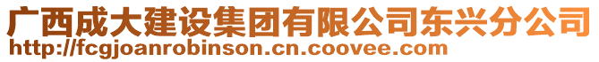 廣西成大建設集團有限公司東興分公司