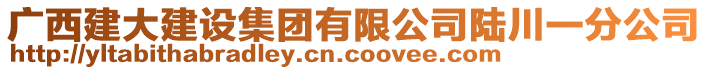 廣西建大建設(shè)集團(tuán)有限公司陸川一分公司