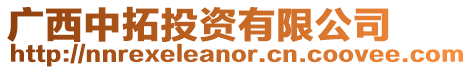 廣西中拓投資有限公司