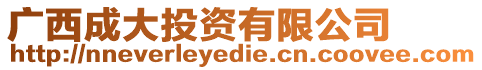 廣西成大投資有限公司