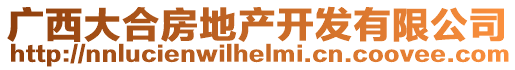 廣西大合房地產開發有限公司