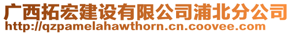 廣西拓宏建設(shè)有限公司浦北分公司