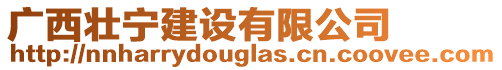 廣西壯寧建設有限公司