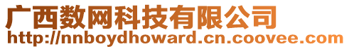 廣西數(shù)網(wǎng)科技有限公司