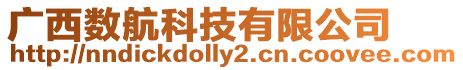 廣西數航科技有限公司