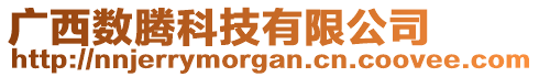 廣西數騰科技有限公司