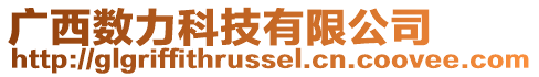 廣西數力科技有限公司