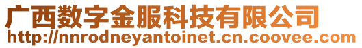 廣西數字金服科技有限公司