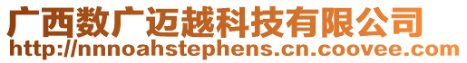 廣西數(shù)廣邁越科技有限公司