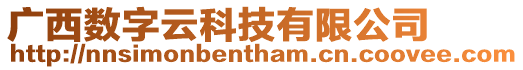 廣西數字云科技有限公司