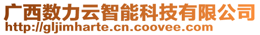廣西數(shù)力云智能科技有限公司