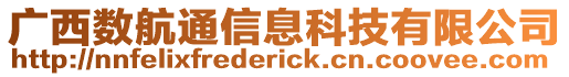 廣西數航通信息科技有限公司