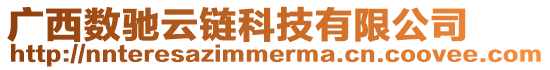 廣西數馳云鏈科技有限公司