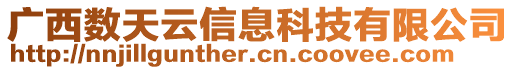 廣西數天云信息科技有限公司