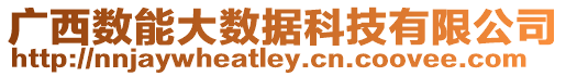 廣西數(shù)能大數(shù)據(jù)科技有限公司