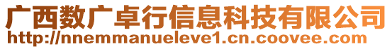 廣西數廣卓行信息科技有限公司