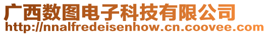 廣西數圖電子科技有限公司