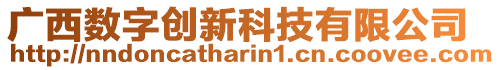 廣西數字創新科技有限公司