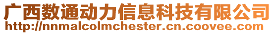 廣西數通動力信息科技有限公司