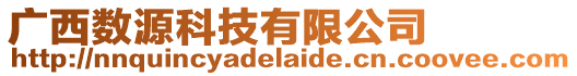 廣西數(shù)源科技有限公司