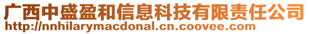 廣西中盛盈和信息科技有限責任公司