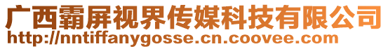 廣西霸屏視界傳媒科技有限公司