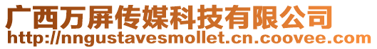 廣西萬屏傳媒科技有限公司