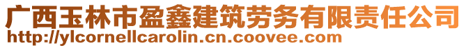 廣西玉林市盈鑫建筑勞務有限責任公司