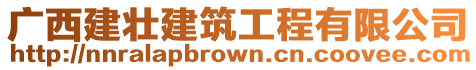 廣西建壯建筑工程有限公司