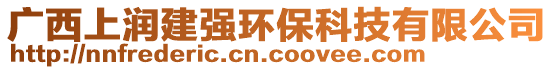 廣西上潤(rùn)建強(qiáng)環(huán)保科技有限公司