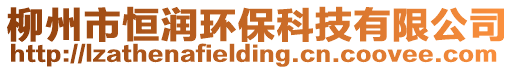 柳州市恒潤環(huán)保科技有限公司