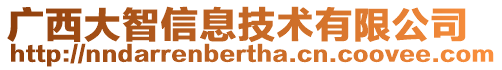 廣西大智信息技術(shù)有限公司