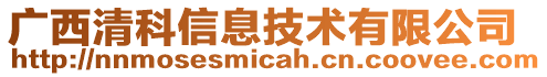 廣西清科信息技術(shù)有限公司