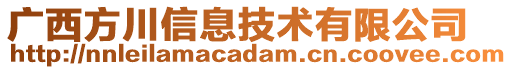 廣西方川信息技術有限公司