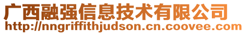 廣西融強信息技術(shù)有限公司