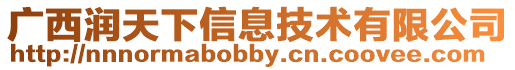 廣西潤天下信息技術(shù)有限公司