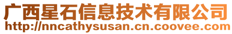 廣西星石信息技術有限公司