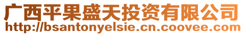 廣西平果盛天投資有限公司