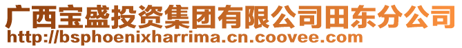 廣西寶盛投資集團(tuán)有限公司田東分公司