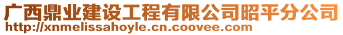 廣西鼎業(yè)建設(shè)工程有限公司昭平分公司