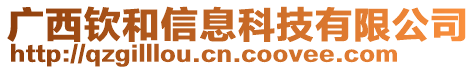 廣西欽和信息科技有限公司